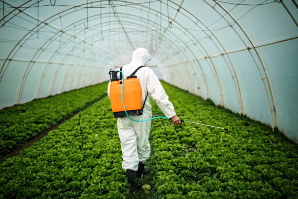 Best Exterminator Services  in Santa Rita Ranch, TX