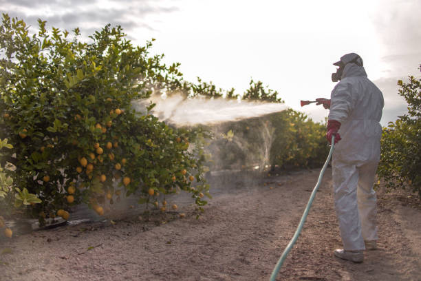 Pest Control Cost in Santa Rita Ranch, TX